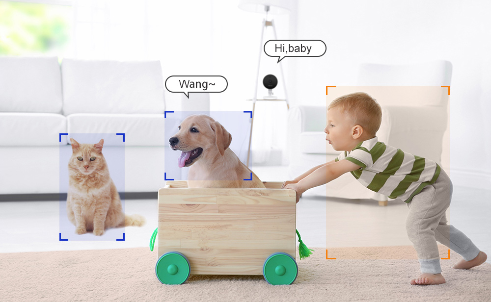 Pet.jpg
