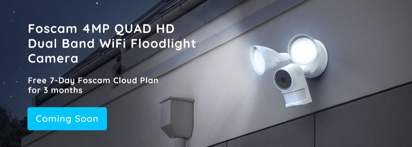 Foscam Floodlight Camera F41